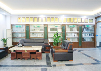 Sample Display Area